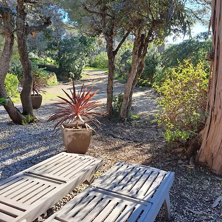 Bed & Breakfast Clos Helene Hyères