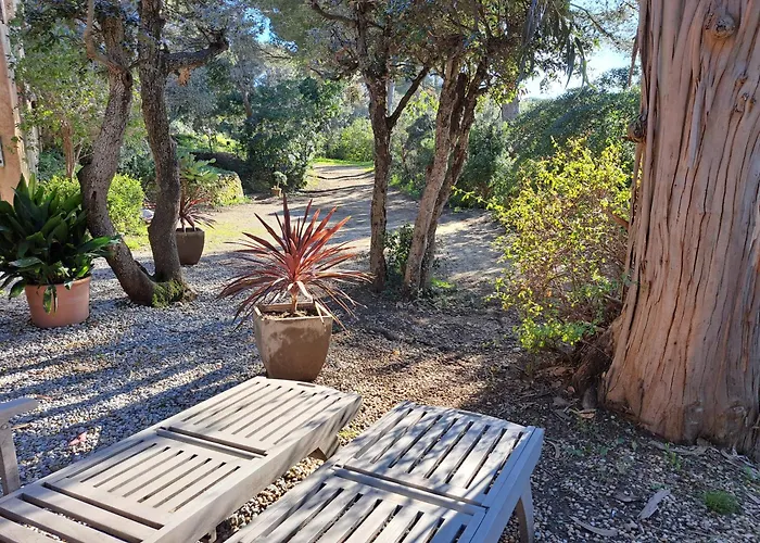 Bed & Breakfast Clos Helene Hyères